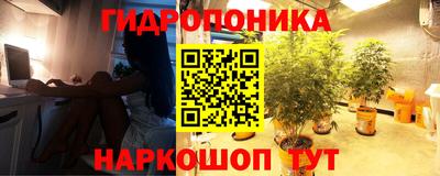 тгк Севастополь