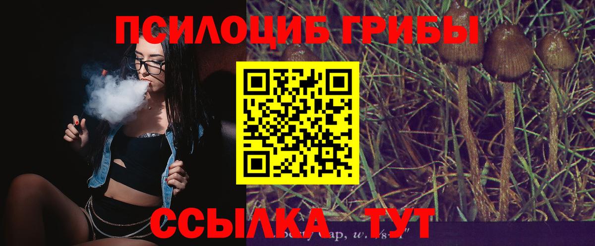 Азов  Псилоцибиновые грибы Magic Shrooms  Вход с VPN 